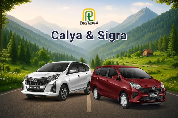 Calya & Sigra