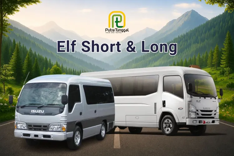 Elf Short & Long